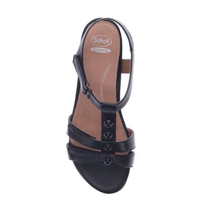 Gina Backstrap Sandal - Black