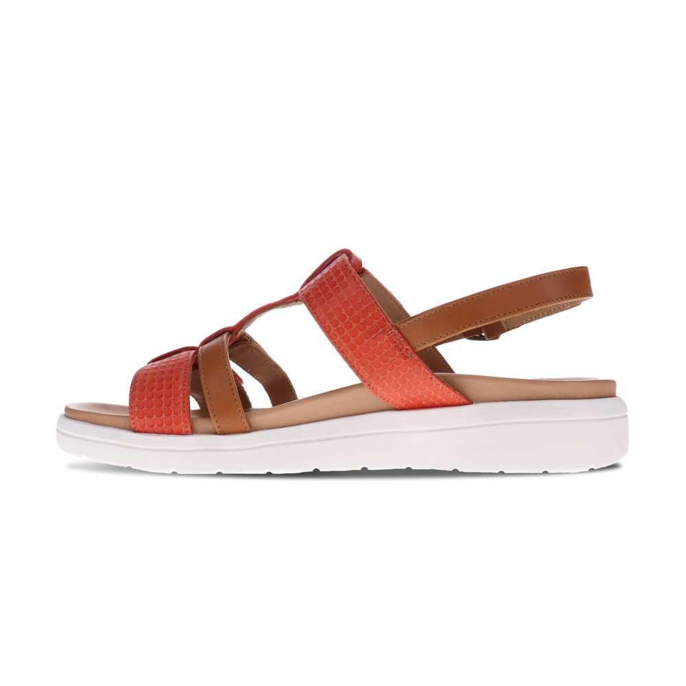 Bryn Adjustable Sandal - Rose Multi